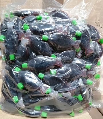 SHOYU T.O FISCH (4,2MLX300), SHODA