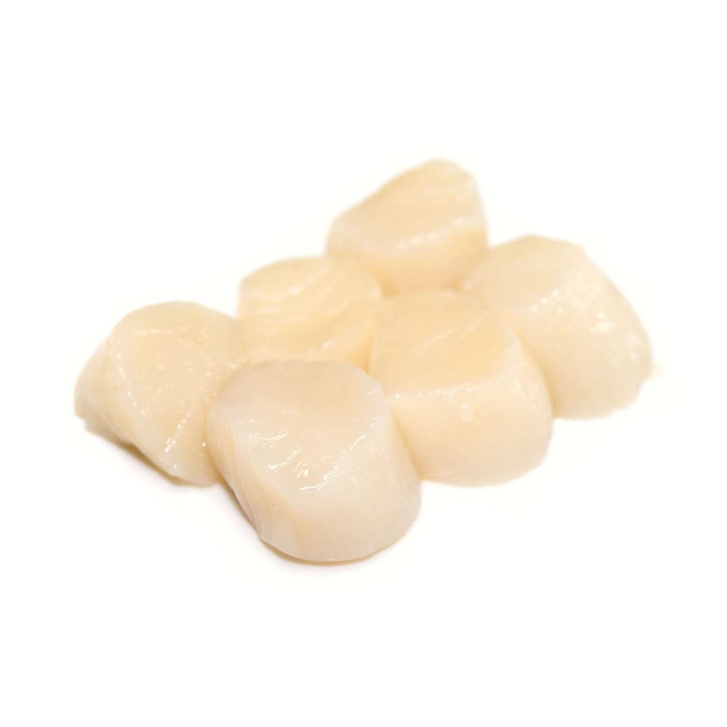 HOTATE JAPAN 10/20 (1kg), SCALLOPS JAKOBSMUSCHEL