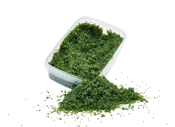 MASAGO WASABI (500G)