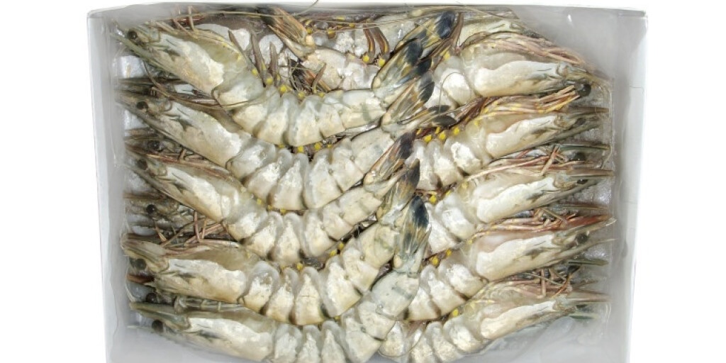 BLACK TIGER 16/20   (1,2KG) BLOCK