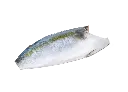 HAMACHI FILLET  JAPAN