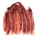 TAKO ASHI 4P (500G) OKTOPUS BEINE