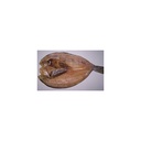 HOKKE HIRAKI (250G+)